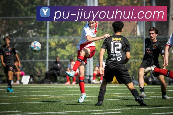 J9九游会官网APP 封面图